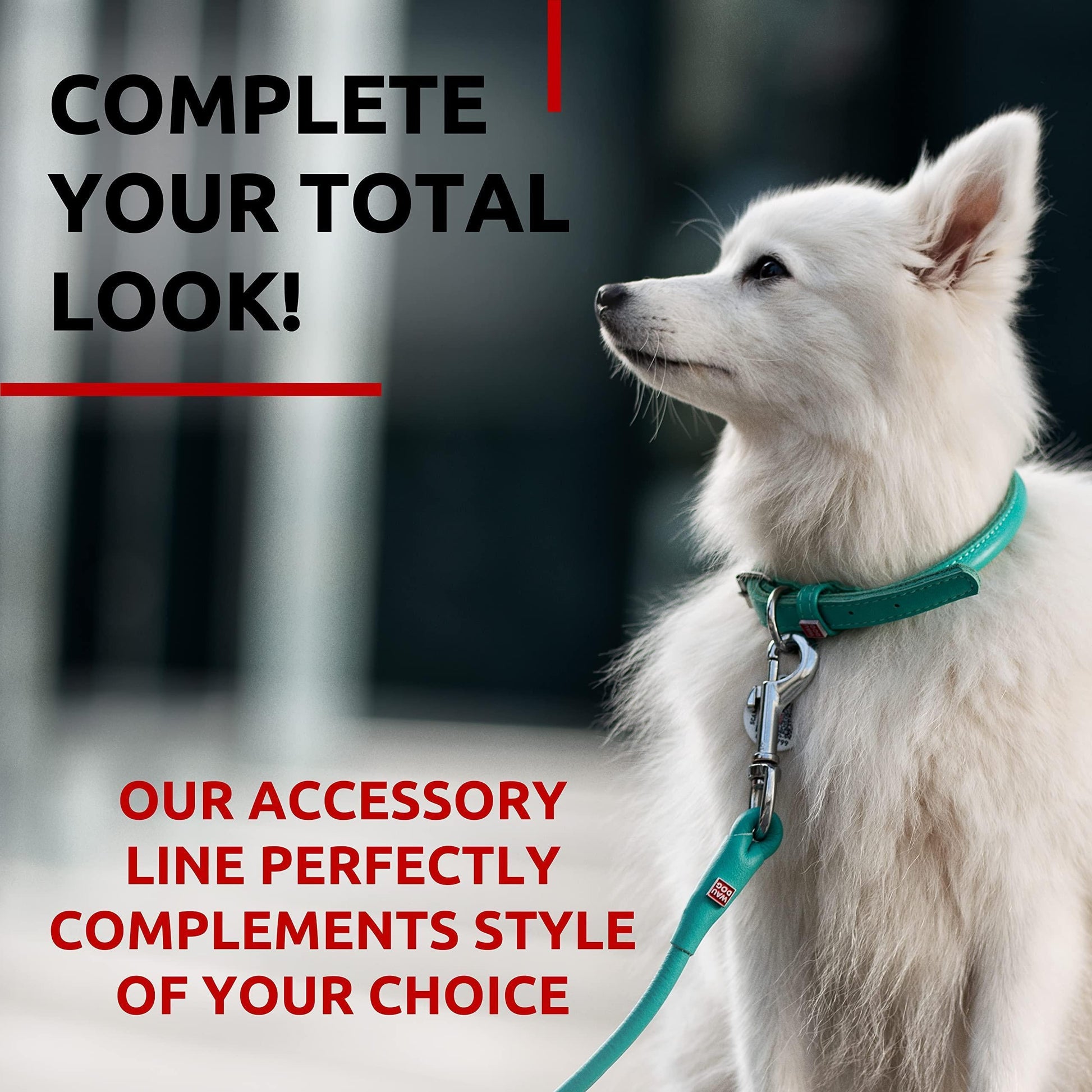 WAUDOG Rolled Leather Dog Leash 4Ft * 0.3 in for Small Medium and Large Dogs Heavy Duty Leather Puppy Leash for Outdoor Walking Running Training Strong Dog Leashes for Large Breed Dogs (Mint)