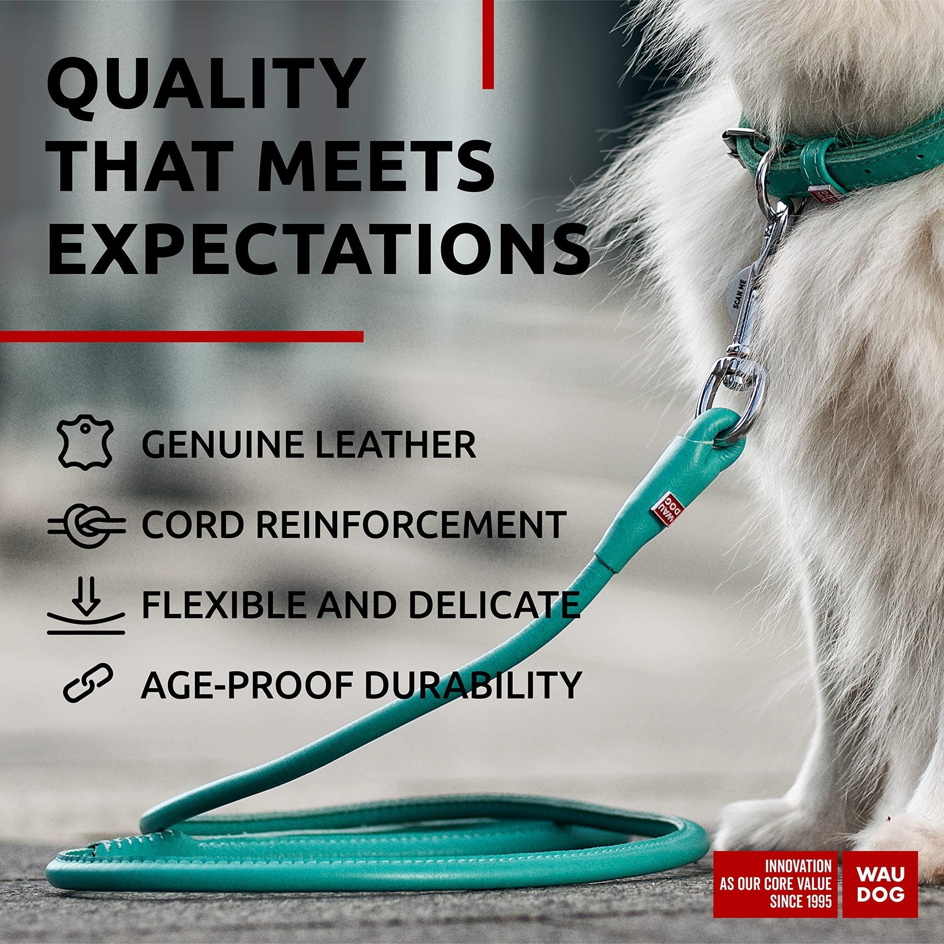 WAUDOG Rolled Leather Dog Leash 4Ft * 0.3 in for Small Medium and Large Dogs Heavy Duty Leather Puppy Leash for Outdoor Walking Running Training Strong Dog Leashes for Large Breed Dogs (Mint)