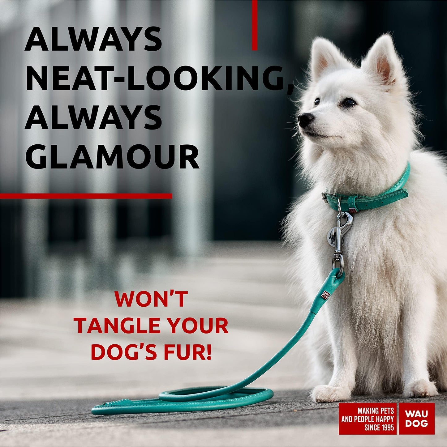 WAUDOG Rolled Leather Dog Leash 4Ft * 0.3 in for Small Medium and Large Dogs Heavy Duty Leather Puppy Leash for Outdoor Walking Running Training Strong Dog Leashes for Large Breed Dogs (Mint)