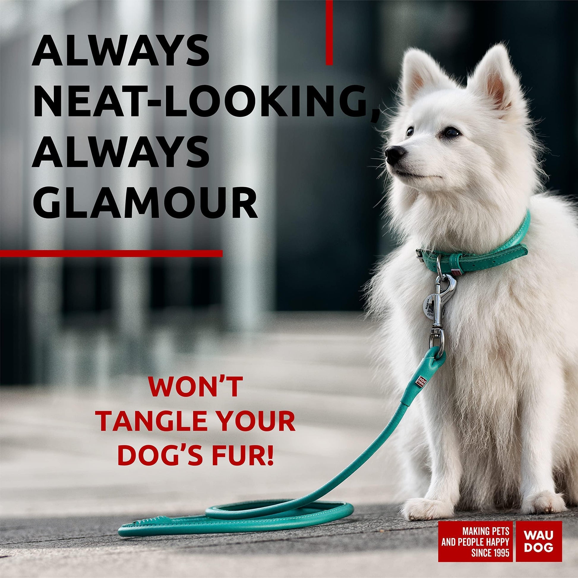 WAUDOG Rolled Leather Dog Leash 4Ft * 0.3 in for Small Medium and Large Dogs Heavy Duty Leather Puppy Leash for Outdoor Walking Running Training Strong Dog Leashes for Large Breed Dogs (Mint)